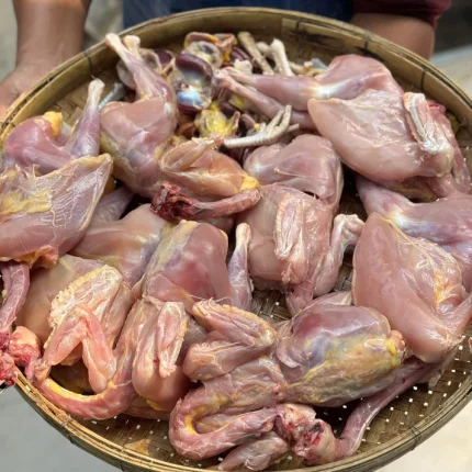 দেশি মুরগি